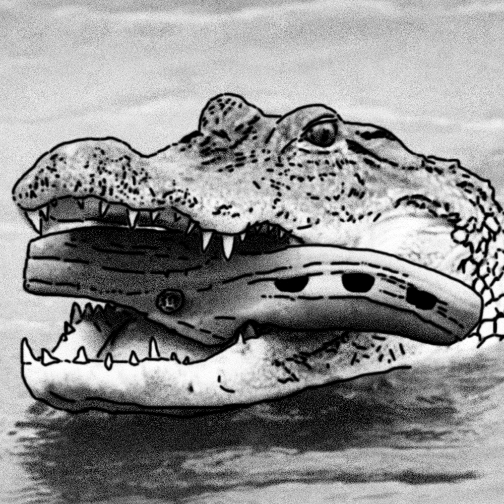 Una crónica de MiDi Fashion Week