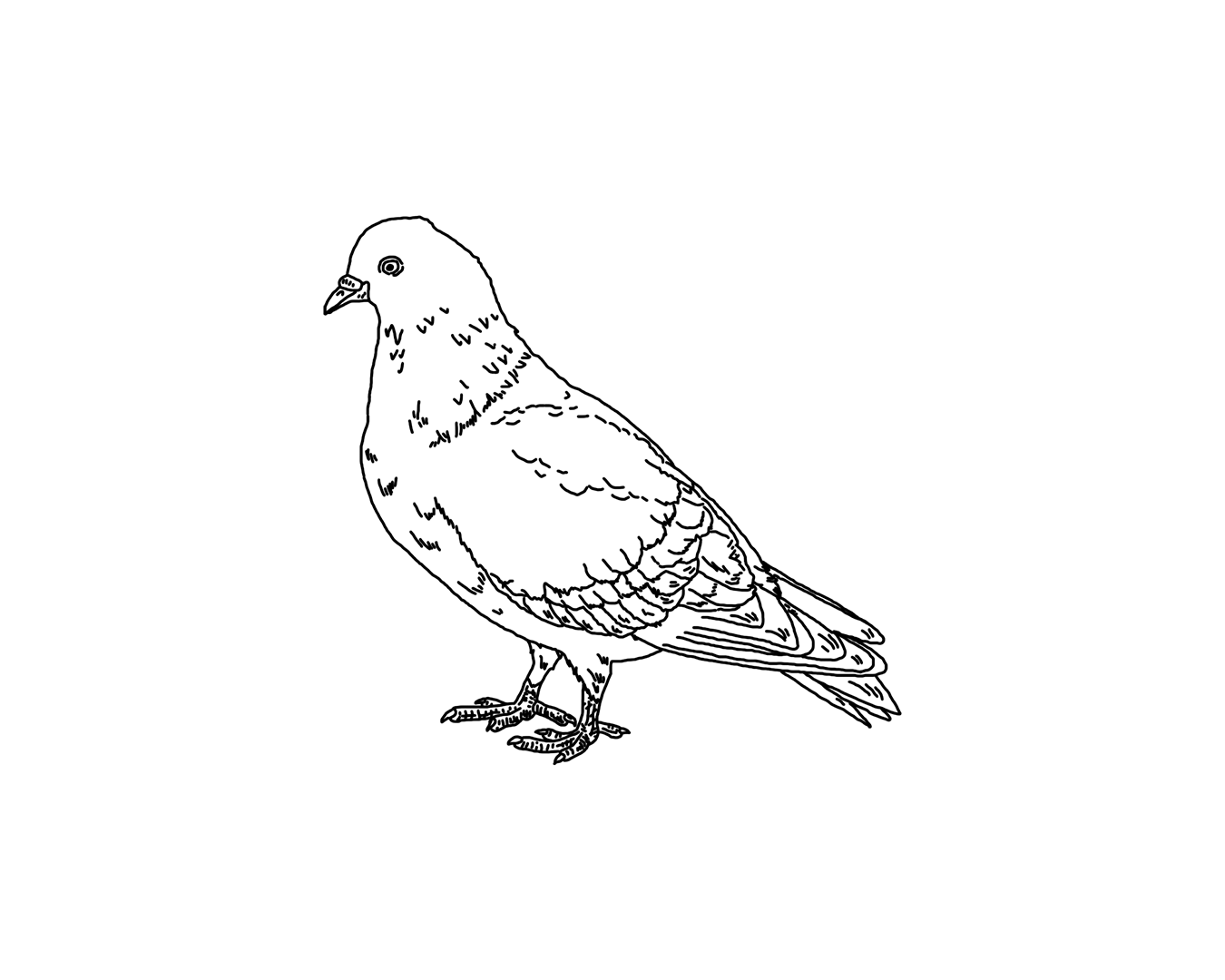 Ya no, el camino de las migas