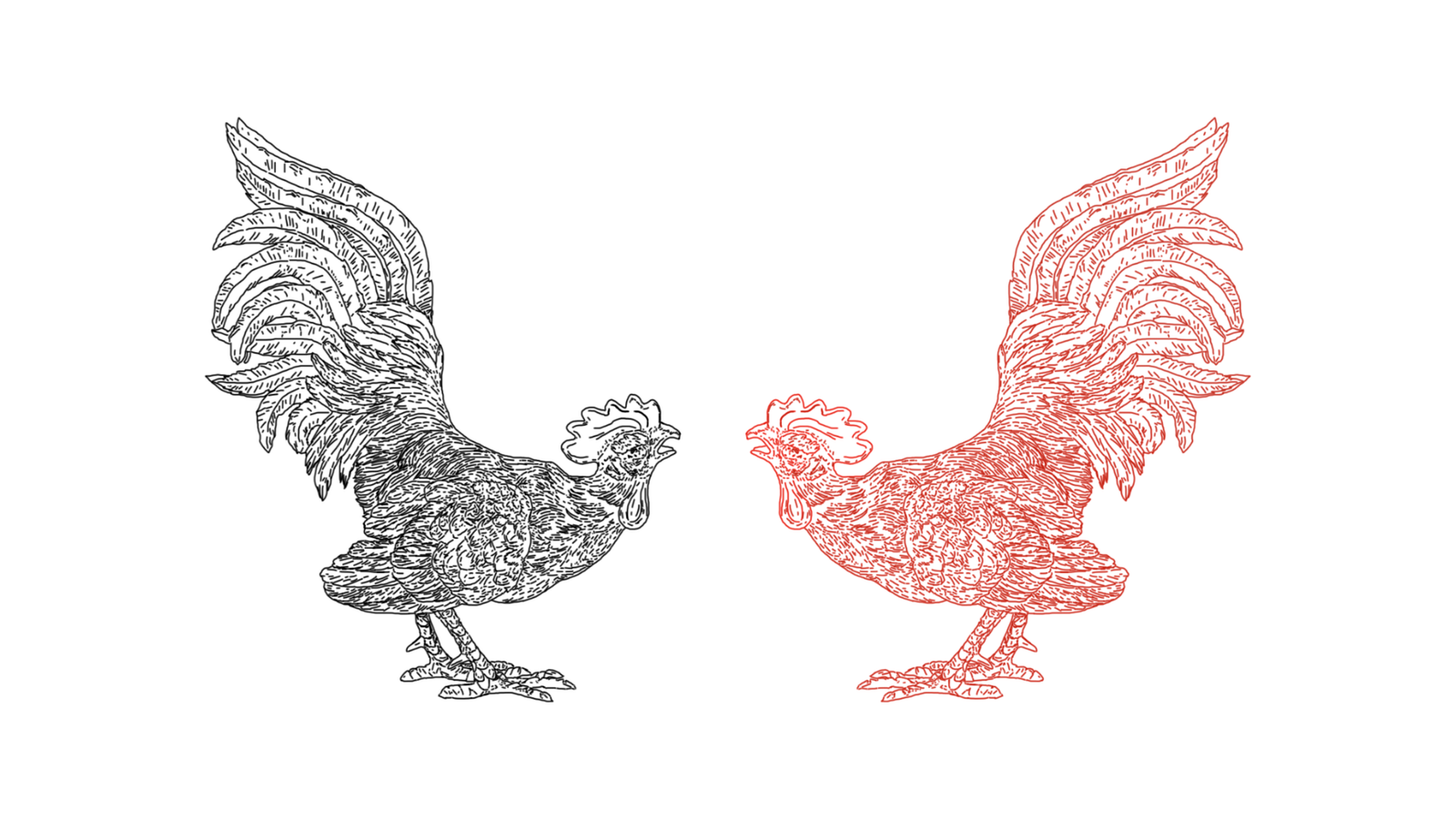 Estudiantódromo: una propuesta