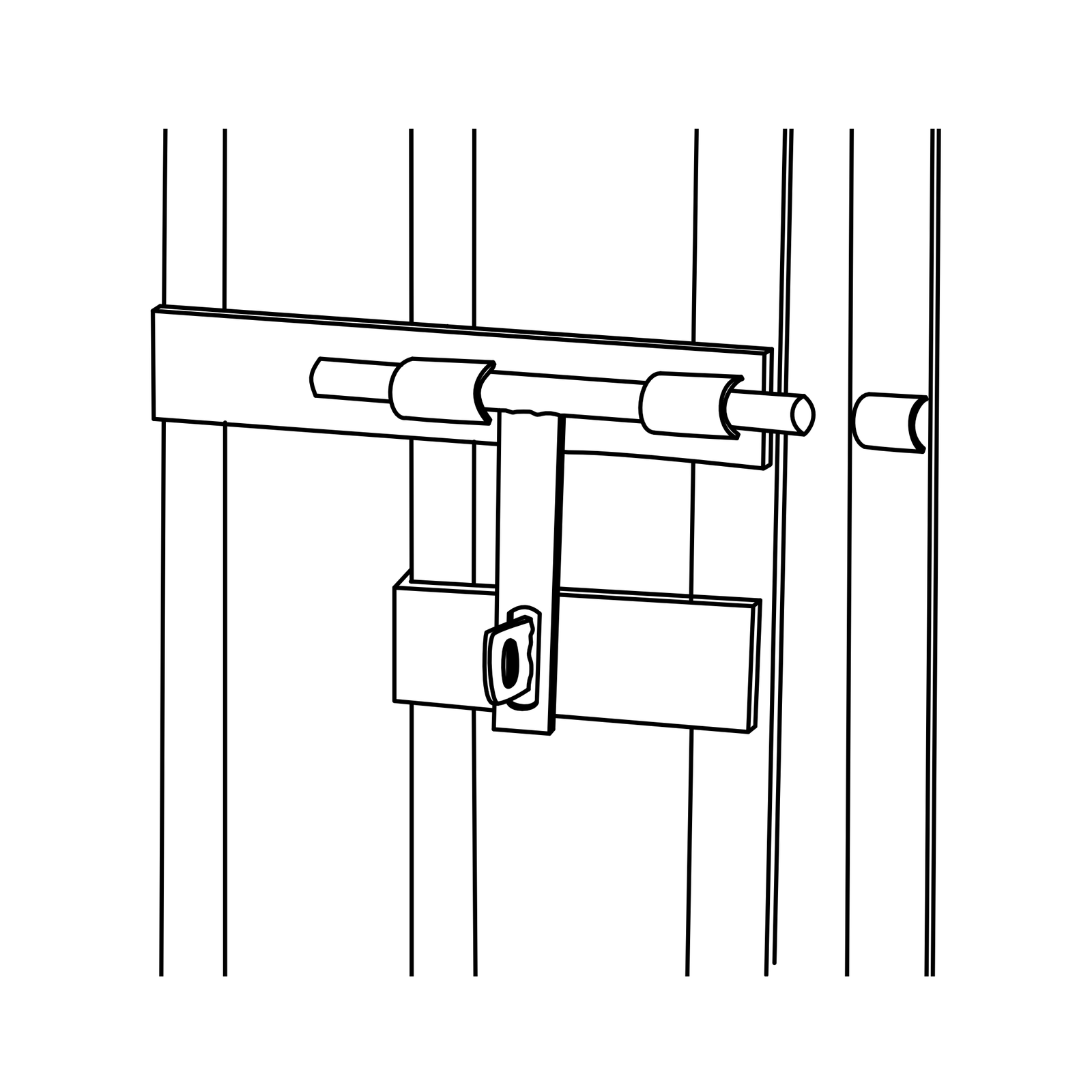 A 50 años del Golpe: Misiones entre el lastre del negacionismo y la continuidad de los juicios